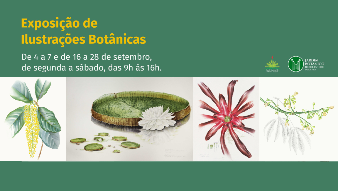 Jardim Botânico do Rio promove exposição de ilustrações botânicas