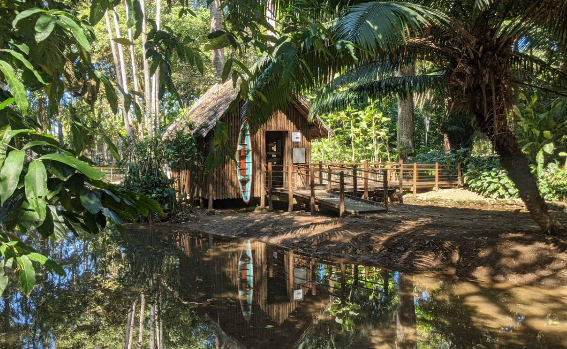 Jogo dos Biomas Gastronômicos - Museu do Cerrado