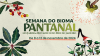 Jardim Botânico do Rio promove semana de atividades sobre o Pantanal a partir desta sexta (8/11)