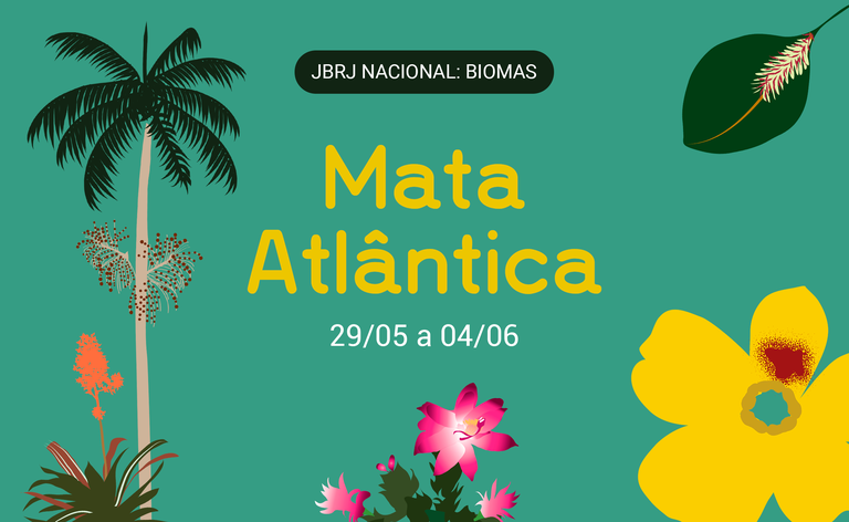 banner horizontal - mata atlântica_bioma-V3_1.png