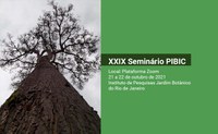 JBRJ realiza seu XXIX Seminário PIBIC