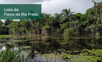 Lista revela riqueza de plantas da Floresta Nacional do Rio Preto