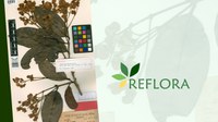Manual de Digitalização Reflora versão 3 apresenta novas ferramentas e recursos da plataforma