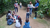 No Dia da Mata Atlântica (27/5), Jardim Botânico do Rio oferece trilha especial ao público infantil e livro aos visitantes