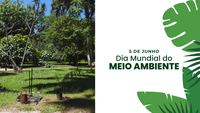 No Dia do Meio Ambiente, público terá trilha guiada com direito a plantio de árvores no Jardim Botânico do Rio
