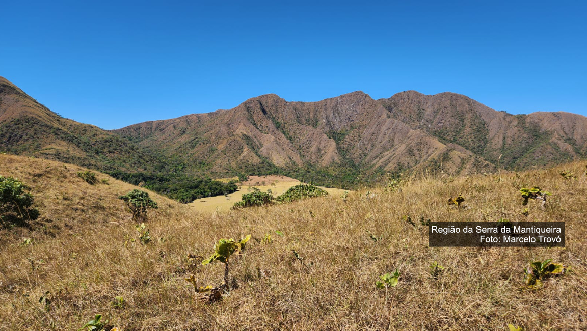 Pesquisadores encontram plantas ameaçadas de extinção do PAN Bacia do Alto Tocantins