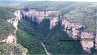 Pesquisadores registram plantas ameaçadas em expedição científica à Serra da Chapadinha, Bahia