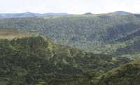 PNSJ é primeira unidade da Região Sul no Catálogo de Plantas das UCs do Brasil