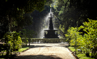 Vagas de movimentação abertas para o Jardim Botânico do Rio de Janeiro