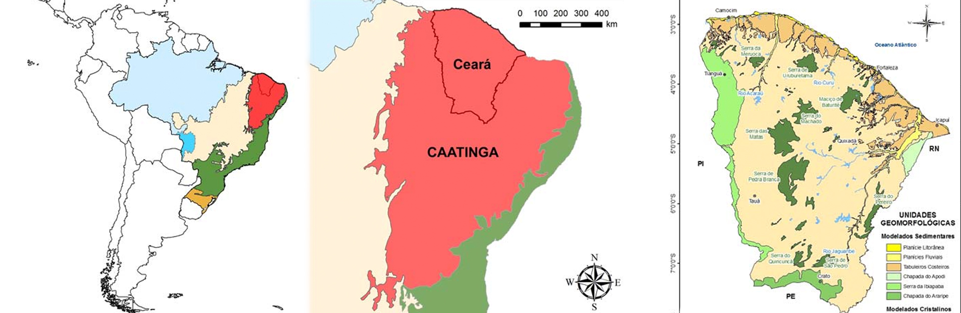Mais acessados: Vegetação, unidades fitoecológicas e diversidade paisagística do estado do Ceará