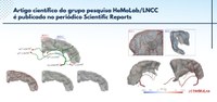 Artigo científico do grupo pesquisa HeMoLab/LNCC é publicado no periódico Scientific Reports