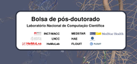 Laboratório de Modelagem Hemodinâmica (HeMoLab) do LNCC abre processo seletivo para concessão de Bolsa de Pós-Doutorado