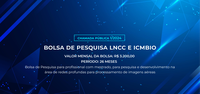 Oportunidade: CHAMADA PÚBLICA 1/2024 PARA BOLSA DE PESQUISA LNCC e ICMBIO