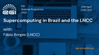 Diretor do LNCC participa de webinar em Instituição holandesa