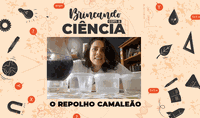 Brincando com a Ciência: O repolho camaleão