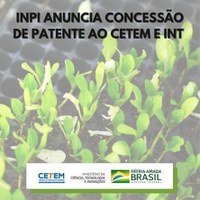 PATENTE DE PROCESSO DE FORMATAÇÃO COM ECOFLEX E RESÍDUOS DE ROCHAS ORNAMENTAIS