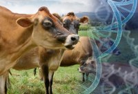 Melhoramento genético animal e ampliação de monitoramento por satélite para uso da terra são debatidos pelo MCTI