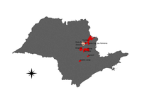 Rede Corona-ômica.BR-MCTI informa possível nova variante da COVID-19 no interior de SP com mutação também encontrada na variante indiana