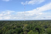 Governo Federal inaugura laboratórios do projeto SALAS MCTI na Amazônia e visita o projeto Torre ATTO