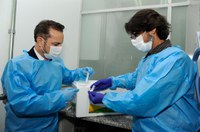 Brasil recebe vírus-semente para iniciar desenvolvimento de vacina contra monkeypox