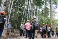 AmazonFACE faz pré-inauguração de sítio experimental para testar resiliência da floresta amazônica à mudança climática