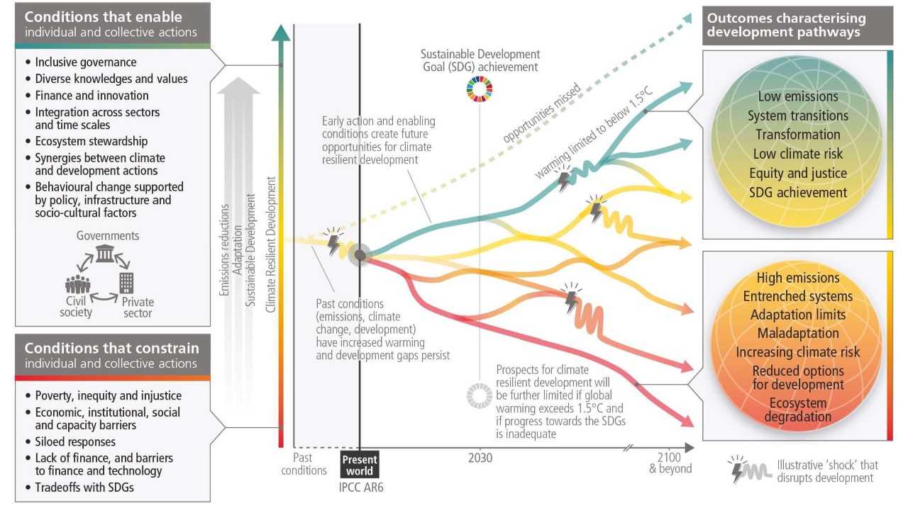 Como o aquecimento global pode multiplicar a população de ratos - BBC News  Brasil