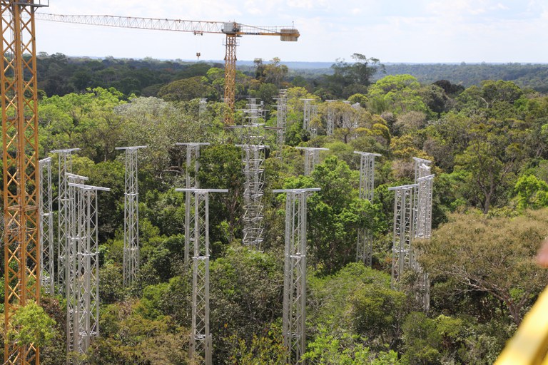 Foto: Alexandre Quesada/ Divulgação AmazonFACE