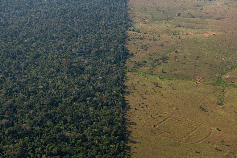 Obras de terra identificadas na paisagem amazônica. Crédito: Diego Lourenço Gurgel