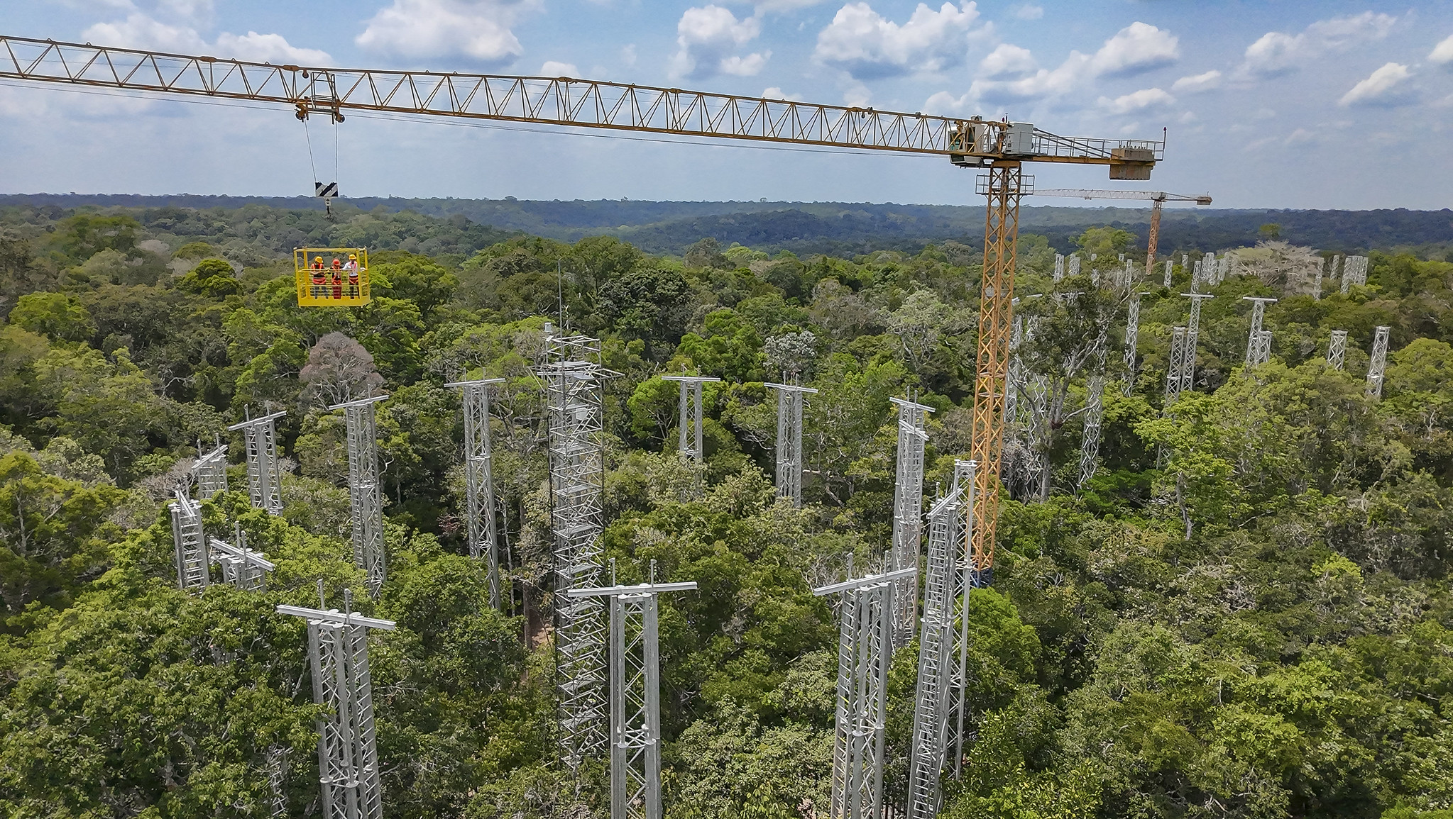 Programa científico AmazonFACE, do MCTI em colaboração com o Reino Unido,  é único no mundo e considerado na fronteira do conhecimento