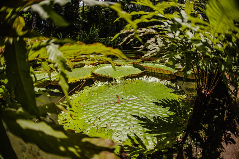 biodiversidadeg20.webp