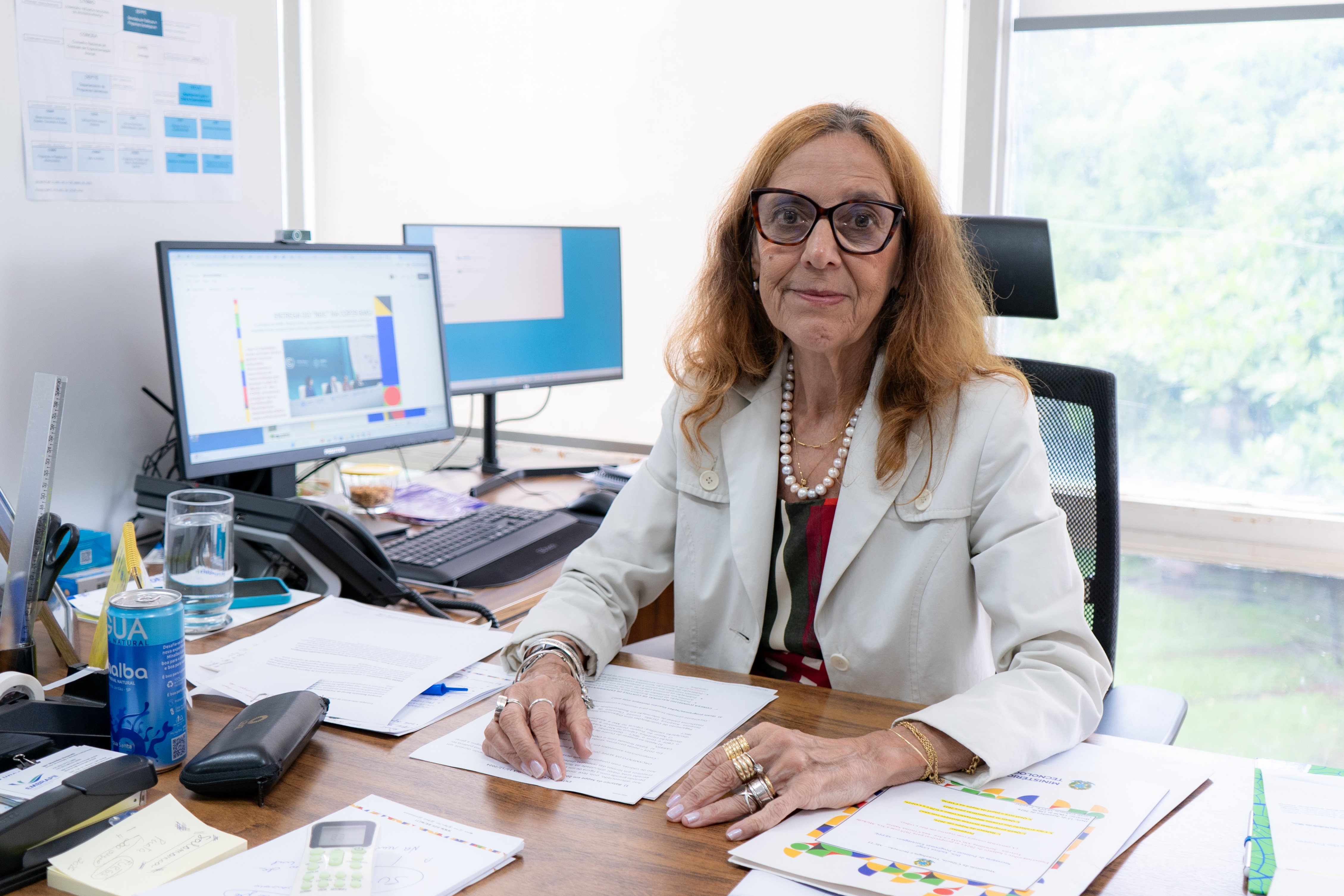 Durante balanço da Secretaria de Políticas Públicas e Programas Estratégicos, representante da pasta reforça a importância da atuação do MCTI em temas como clima, cultura oceânica e biossegurança