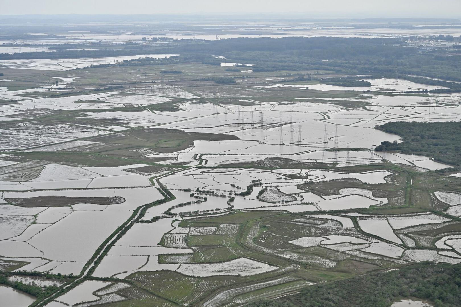 Medida Provisória nº 1.247, de 31 de julho de 2024: alívio financeiro para agricultores atingidos por desastres naturais no Rio Grande do Sul