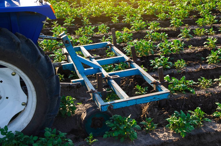 a-tractor-plow-is-cultivating-a-potato-plantation-2023-11-27-05-12-37-utc.jpg