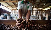 MDA e Conab apoiaram a comercialização de 17 mil toneladas de produtos da sociobiodiversidade em 2023