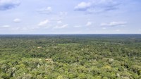 No Dia Mundial do Meio Ambiente, MDA destina terras para unidade de conservação e comunidade quilombola