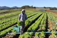 Acesso facilitado: Fundo Garantidor transforma realidade da Agricultura Familiar