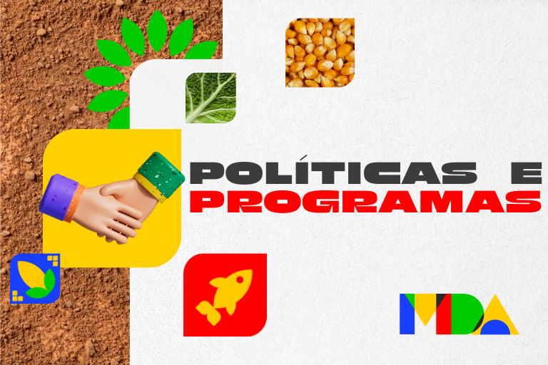 card políticas e programas.png