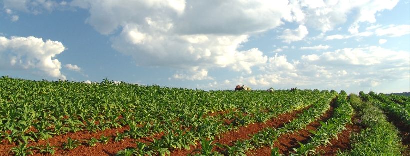 reforma agrária