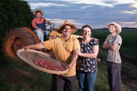 Verde e sustentável: Novos benefícios para fortalecimento da agroecologia e produção de orgânicos