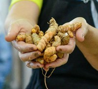 1ª Feira Estadual da Reforma Agrária de Goiás promove sustentabilidade e inclusão social