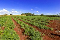 Governo Federal destina 2,3 milhões de hectares de terras públicas federais a indígenas e reforma agrária