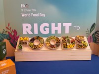 Fórum Mundial de Alimentação: Inovações das políticas públicas para a agricultura familiar brasileira são destaques