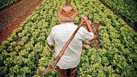 MDA registra 1,1 milhão de inscrições no Cadastro Nacional da Agricultura Familiar (CAF), em 2024