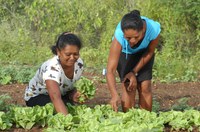 Programas e ações do MDA fortalecem autonomia e cultura das comunidades quilombolas