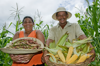 Primeiro ano da Política Nacional de Abastecimento Alimentar reforça segurança alimentar no Brasil