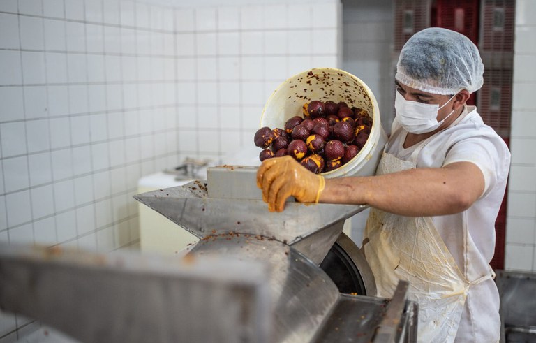 polpa de buriti, em agroindústria familiar em Abaetetuba, Pará.jpg