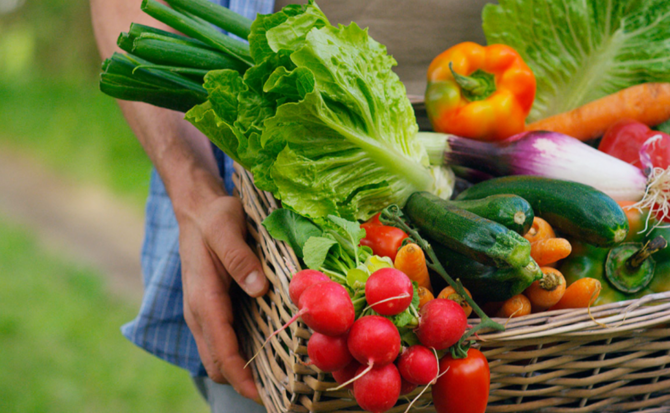 Mais Alimentos fecha o ano com crescimento recorde e avanços na agricultura familiar