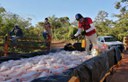 Brasil bate a marca de 275 mil cestas de alimentos distribuídas