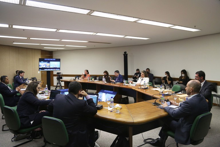 Brasil apresenta avanços na pauta de Desaparecimentos no Brasil em Comitê Internacional