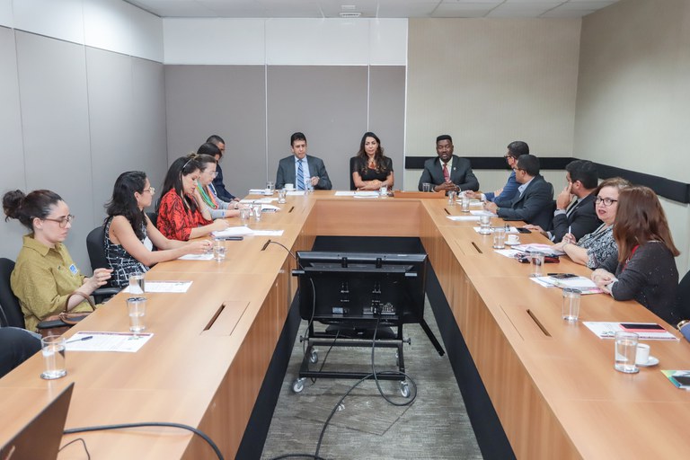 Gestores do MMFDH debatem políticas públicas de combate ao trabalho escravo doméstico